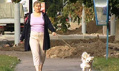 Мэрия Кишинева заставит жителей столицы регистрировать своих питомцев. Фото: peoplenews.com.ua