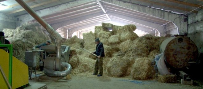 Volumul de biomasă existent în R. Moldova are capacitatea de a substitui 40-50% din gazele naturale 