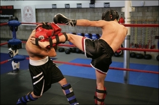 În ţara noastră vor sosi luptători din opt ţări, iar invitatul de onoare va fi renumitul kickboxer olandez, Errol Zimmerman