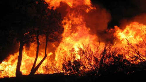 Grecia renunţă la serviciile a 2.000 de pompieri experimentaţi, chiar înainte de sezonul incendiilor