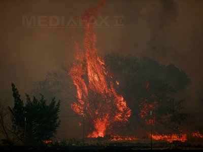 Pompierii au încercat fără rezultat să controleze flăcările, alimentate de vânt, care a suflat toată după-amiaza
