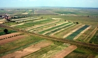 Din totalul de peste 2 milioane de hectare de terenuri agricole recenzate în anul 2010, pe teritoriul întregii ţări, aproape 250.000 sunt nevalorificate