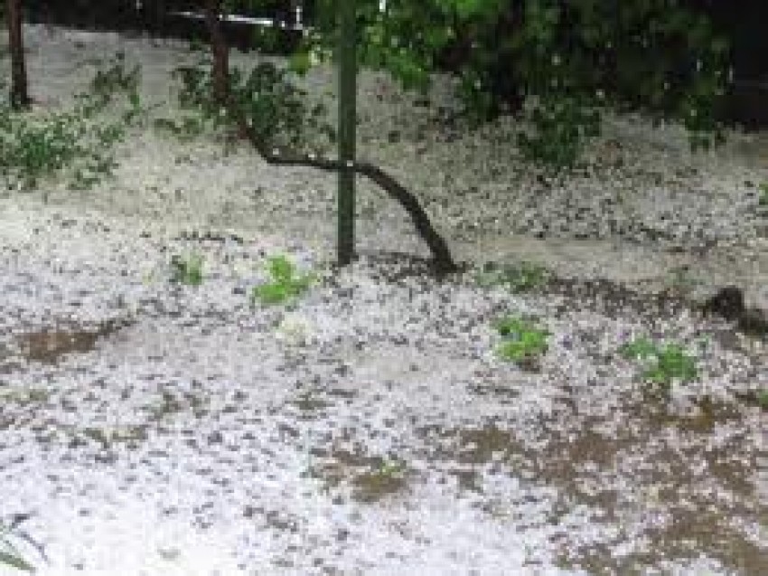 Ploaia cu grindină din Colicăuţi a durat aproximativ 15 minute