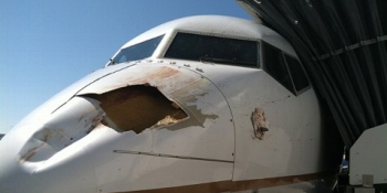După ce aeronava a fost lovită, piloții au declarat o stare de urgență, relatează ABC News