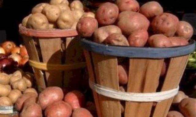 Цель мероприятия - продвигать культуру картофеля и традиционные блюда, приготовленные из этого овоща.