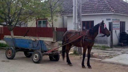 Pentru a-şi înregistra căruţele, ţăranii vor trebui să scoată din buzunar o taxă de 40 de lei. 