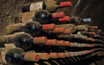 Exporturile produselor vinicole din Moldova au crescut