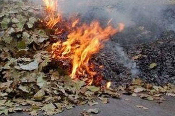 Гагаузский инспектор по защите окружающей среды рассказал об опасности сжигания листвы.
