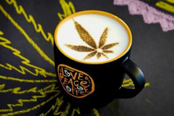 În ultimii ani, peste 20 de state americane au legalizat consumul de marijuana în scop medical şi/ sau recreativ.