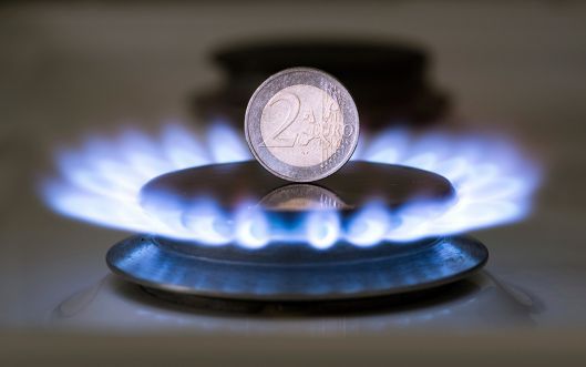 НАРЭ отмечает, что  снижение тарифа на газ обусловлено двумя факторами.