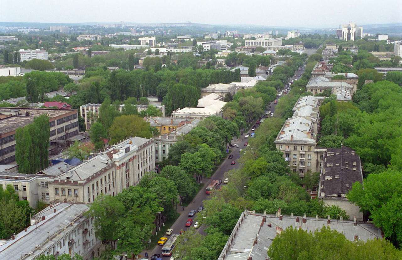 Полностью высохли березы по улице Студенческая, Каля Орхеюлуй и в лесопарках города.