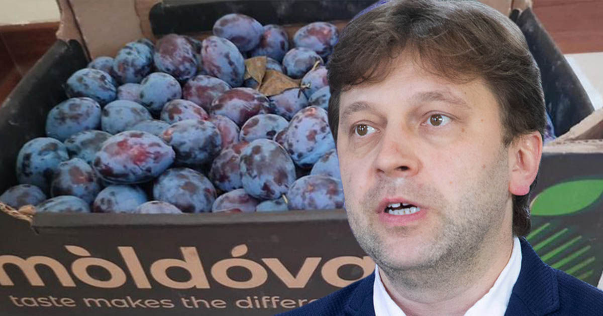 Алайба: Молдавская продукция на полках магазинов ЕС становится нормой. Коллаж: Point.md