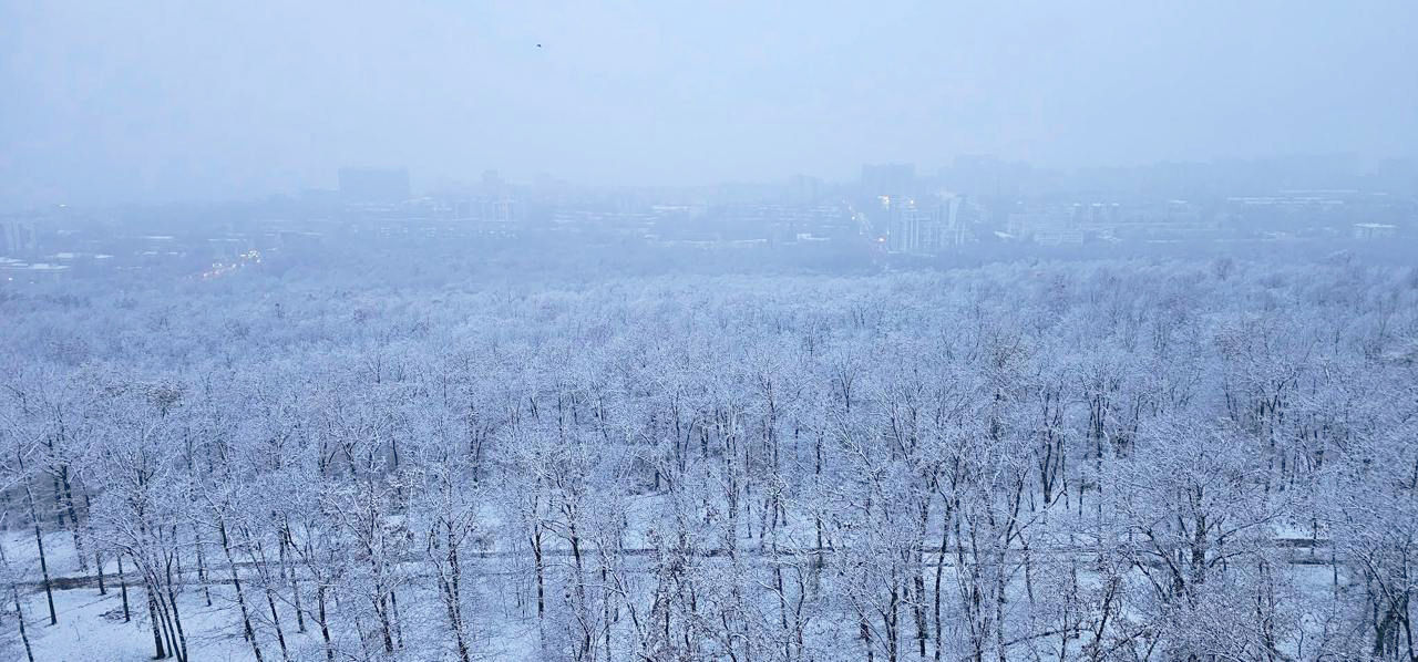 În Moldova a căzut prima zăpadă.