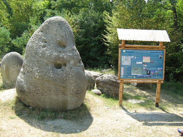 Misterele „pietrelor vii” din România, care cresc de 15 milioane de ani după fiecare ploaie.