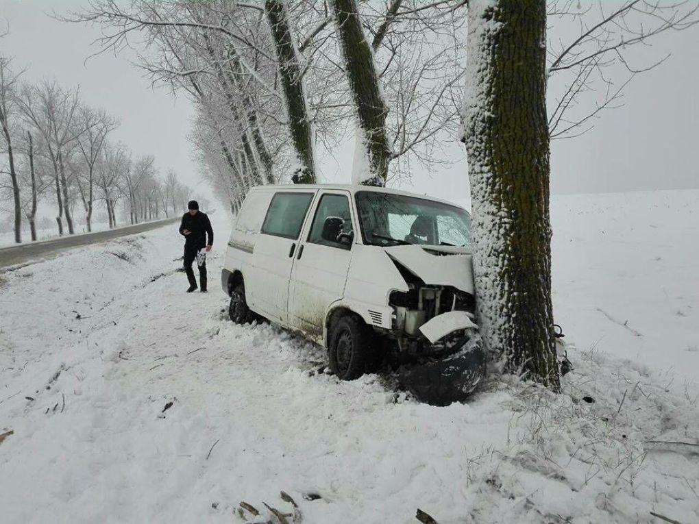 Un vehicul, proiectat într-un arbore la Fălești: Sunt răniţi