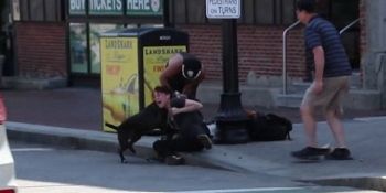 Un câine din rasa Beagle a fost atacat pe stradă de un Pitbull, stăpâna primului fiind și ea prinsă în confruntare.