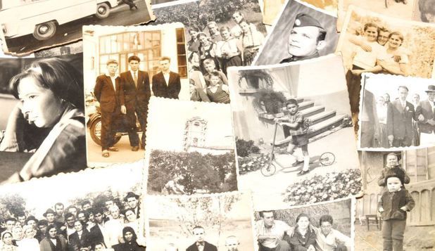 Arborele genealogic cu 13 milioane de oameni şi secrete uimitoare. Foto: descopera.ro