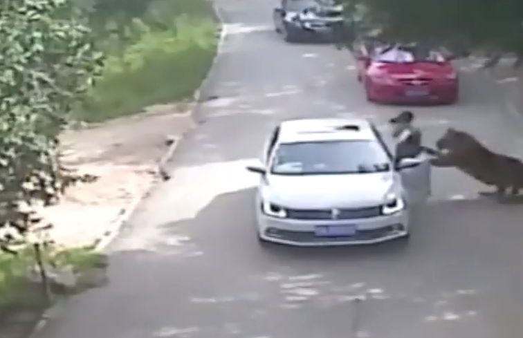 Чжао требует от руководства парка взять на себя хотя бы частичную ответственность за смерть матери. 