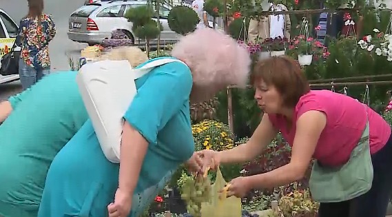 Традиционные осенние ярмарки откроются в каждом секторе.