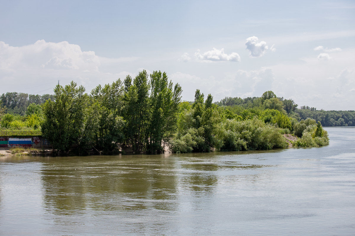 В Днестре нашли тело мужчины.