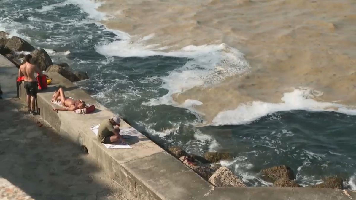 Из-за жары водоросли заполонили поверхность Адриатики.