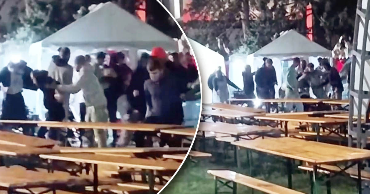 День вина в Кишиневе закончился массовой дракой. Коллаж Point.md.
