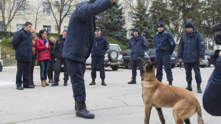 Полиция Молдовы приняла служебных собак из Одессы.