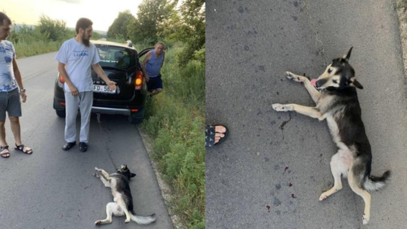 Прокуратура отказалась возбуждать уголовное дело в отношении священника Валуцэ.