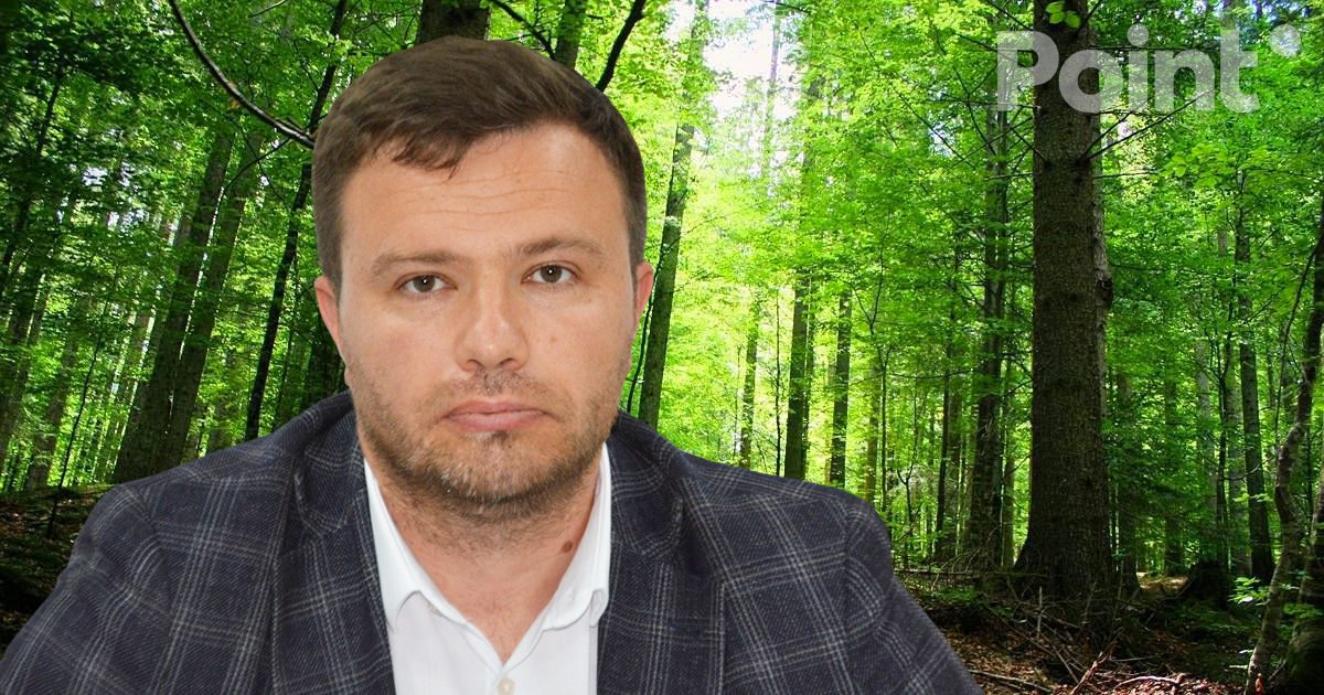 Лазаренку: Власти намерены развивать частные леса.
