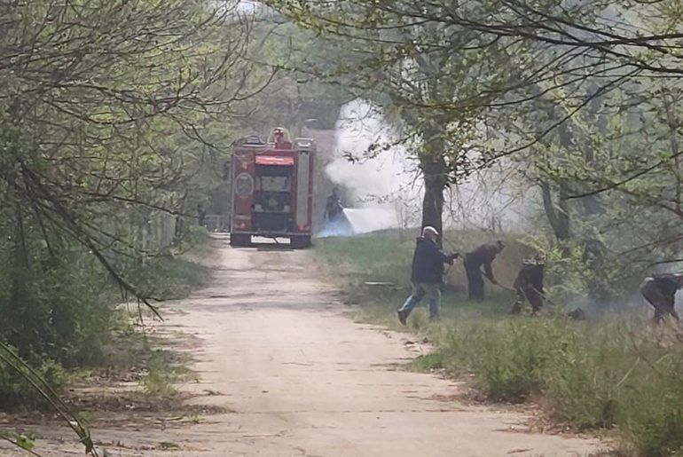 В Кодру вспыхнул пожар.