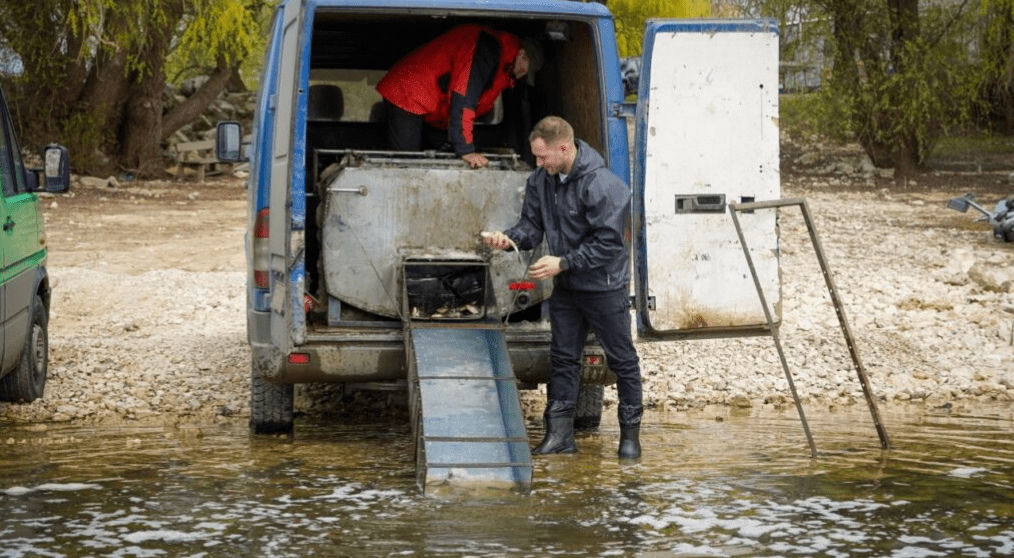 В реку Прут в районе озера Костешть-Стынка выпущено 2,5 тонны рыбы.