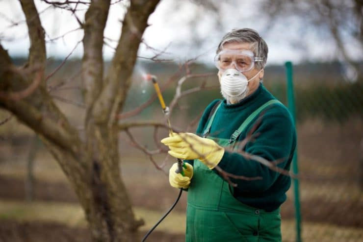 Moldova crește importurile de insecticide ieftine din China.