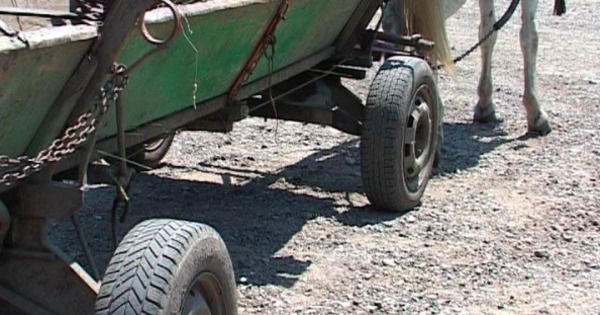 В Хынчештах пьяный мужчина на телеге врезался в автомобиль. 
