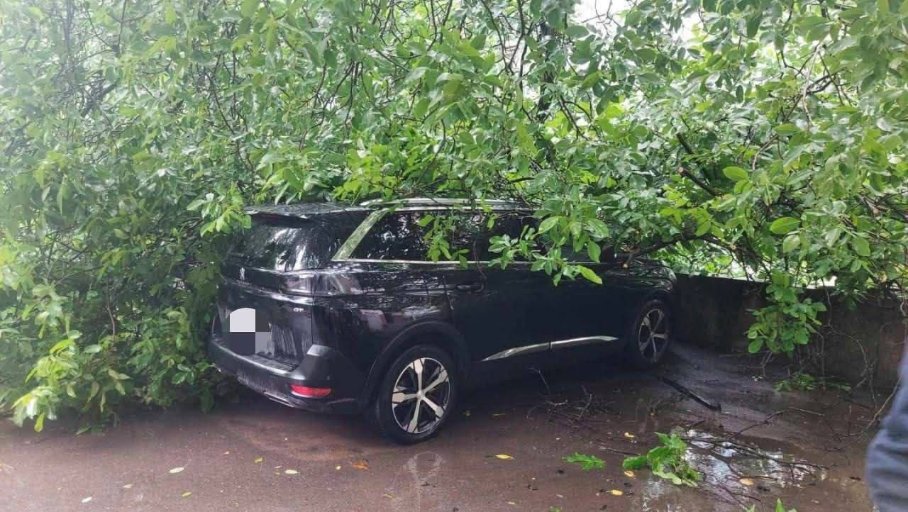 В Бельцах из-за ветра упали деревья: пострадал прохожий, повреждены автомобили.