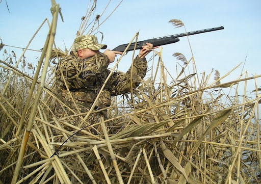 Минприроды уступило охотникам под угрозой акции протеста в воскресенье.