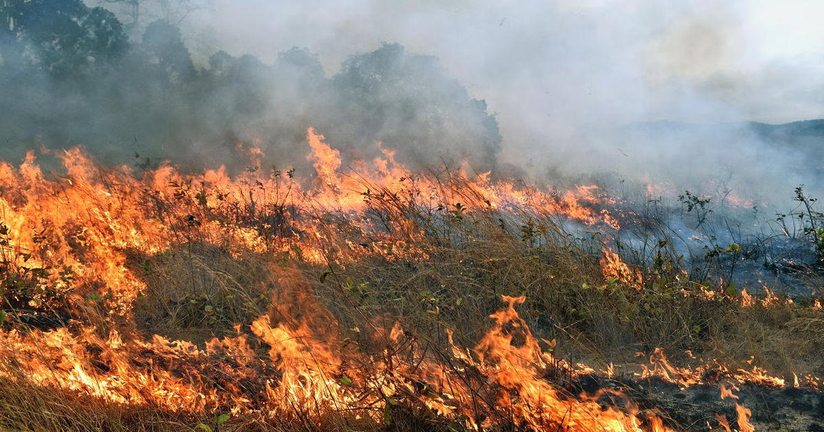 Avertizarea meteo, prelungită în Moldova din cauza pericolului ridicat de incendii.