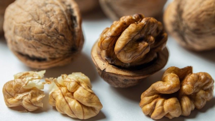 Цены на грецкий орех урожая-2020 могут не быть ниже ожидаемых. Фото: east-fruit.com.