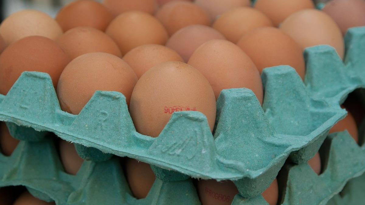 Ouăle dispar de pe rafturile magazinelor din România: Fermierii exportă acolo unde plătesc mai mult.