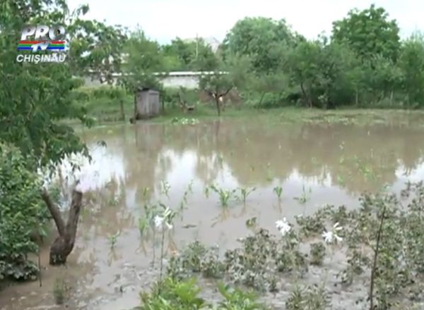 Gospodarii inundate, gradini inamolite si drumuri distruse. Foto: protv.md