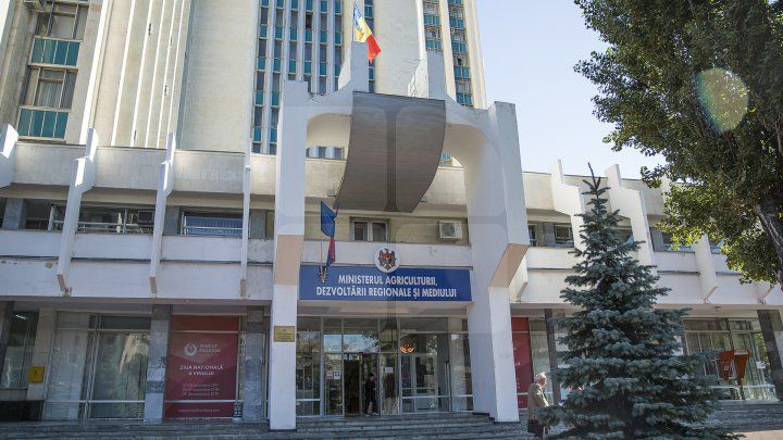 Счетная палата обнаружила нарушения в работе Минсельхоза.