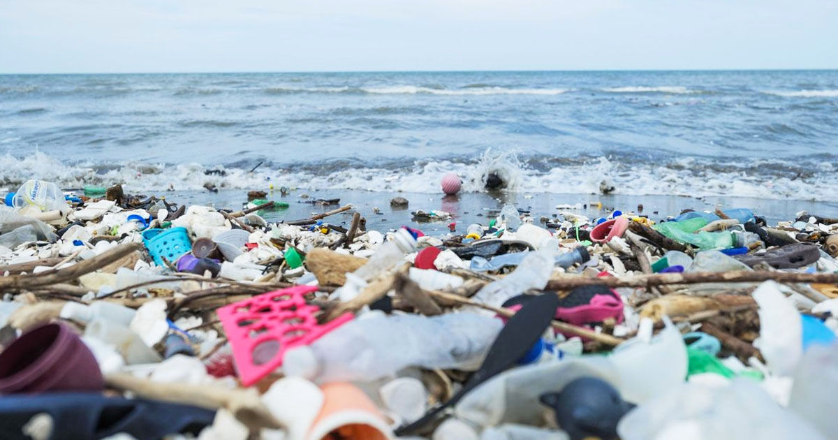 Ecologiștii au găsit o soluție pentru a elimina deșeurile din plastic în 15 ani.