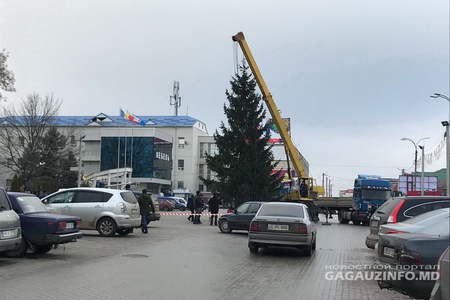 Главную новогоднюю ель Гагаузии будет украшать еще большее число игрушек и гирлянд.
