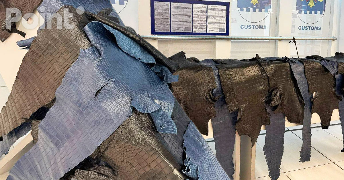 Piei de crocodil, descoperite în bagajul unui pasager pe Aeroportul Chișinău.