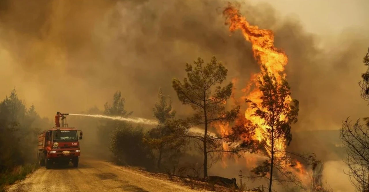 17 persoane suspectate de implicare în incendii forestiere, reținute în Turcia.