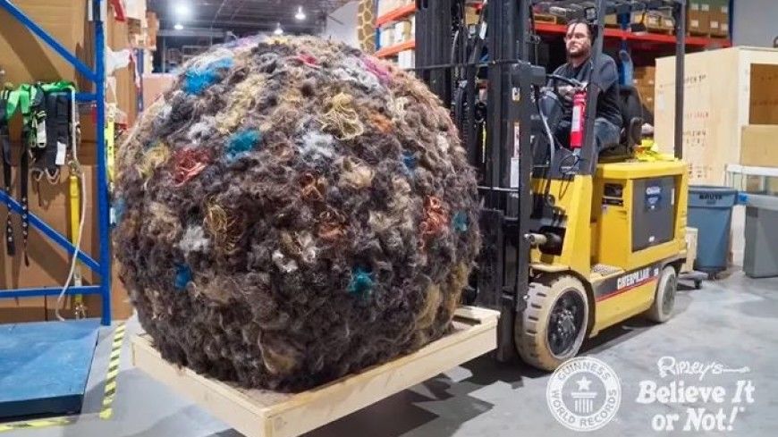 Американец скатал шар из человеческих волос весом 100 килограммов.