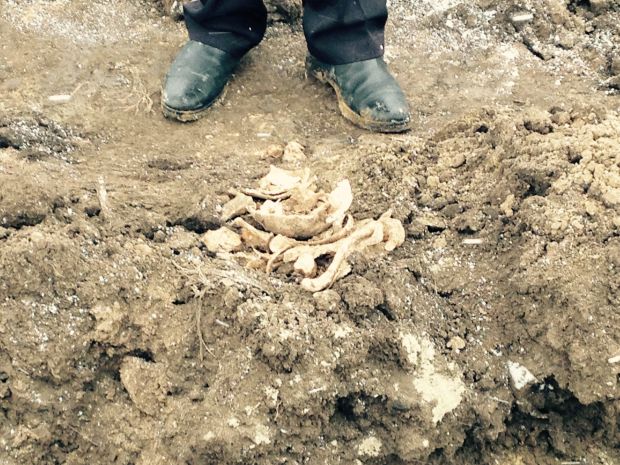 Descoperire arheologică unică din perioada Imperiului Roman la Ungheni. Foto: realitatea.md