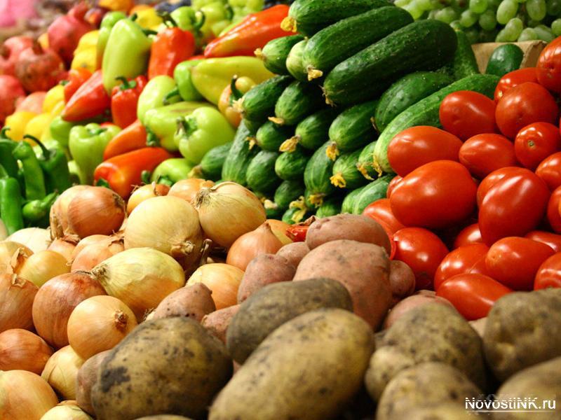 Экспорт молдавской продукции может быть направлен в Катар и другие арабские страны. Фото: novostink.ru.