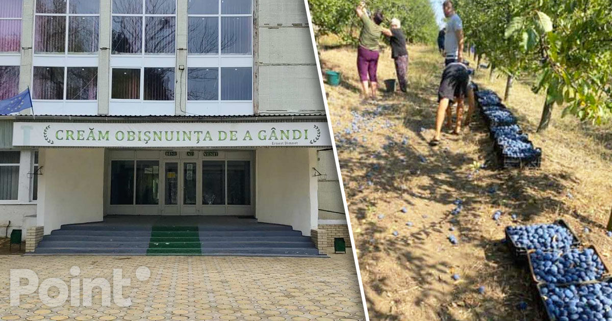 Elevii unui colegiu, duși la cules prune în loc de lecții: Ministerul Educației efectuează o anchetă.