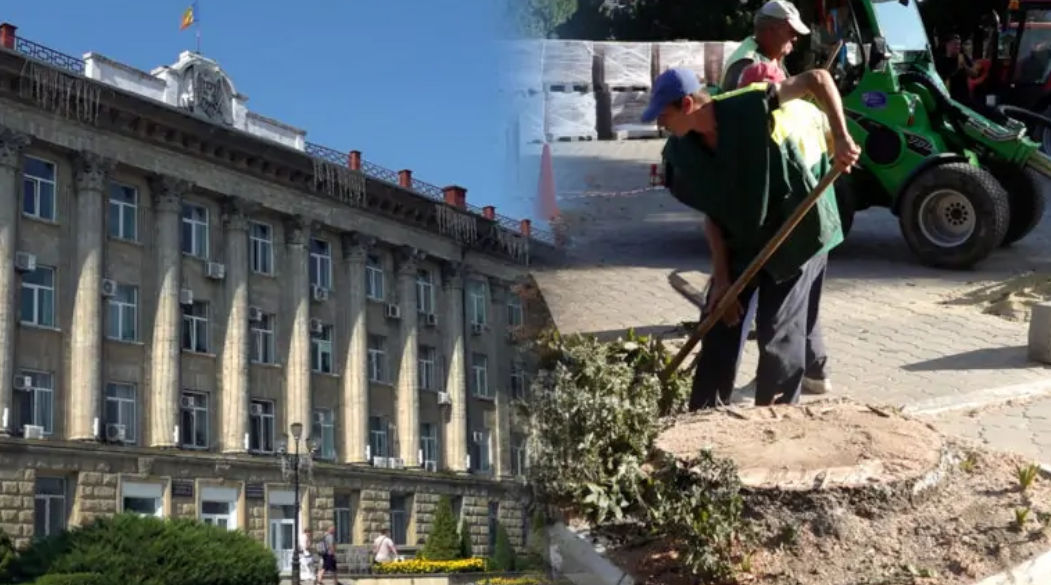 Два дерева в центре города Бельцы вырублены: местные жители возмущены.