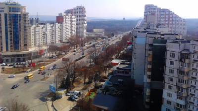 На засев газона из муниципального бюджета было выделено почти полтора миллиона леев.